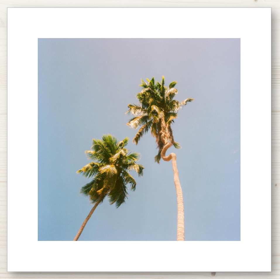 12x12 Framed Preview